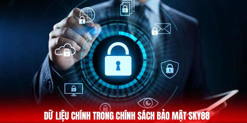 Chính Sách Bảo Mật Sky88 - Bảo Vệ An Toàn Tuyệt Đối 2025 2 Dữ liệu chính trong chính sách bảo mật Sky88