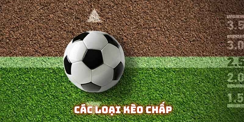 Kèo Chấp Là Gì? Sân Chơi Bổ Ích Cho Các Thế Hệ Bet Thủ 1 Handicap 1/4 rất phổ biến trong thị trường Việt Nam