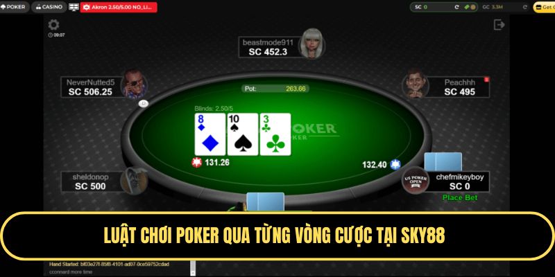 Luật Chơi Poker - Cơ Hội Làm Giàu Hấp Dẫn Cho Newbie 3 Mỗi vòng cược sẽ có luật chơi Poker khác nhau